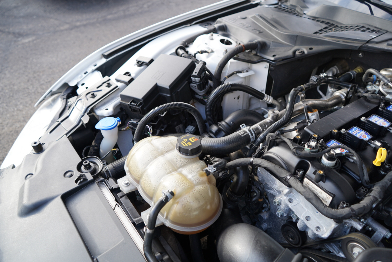 Ford Mustang EcoBoost Fastback 2021