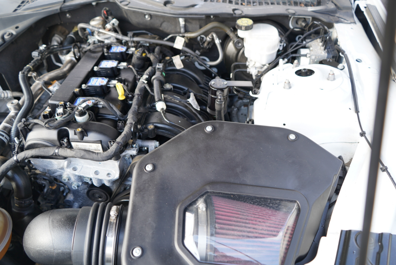 Ford Mustang EcoBoost Fastback 2021