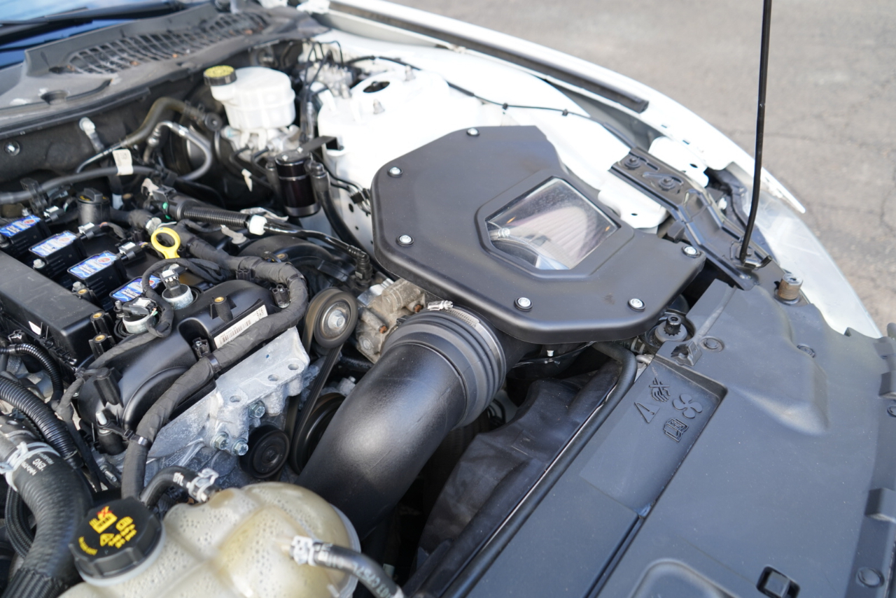 Ford Mustang EcoBoost Fastback 2021