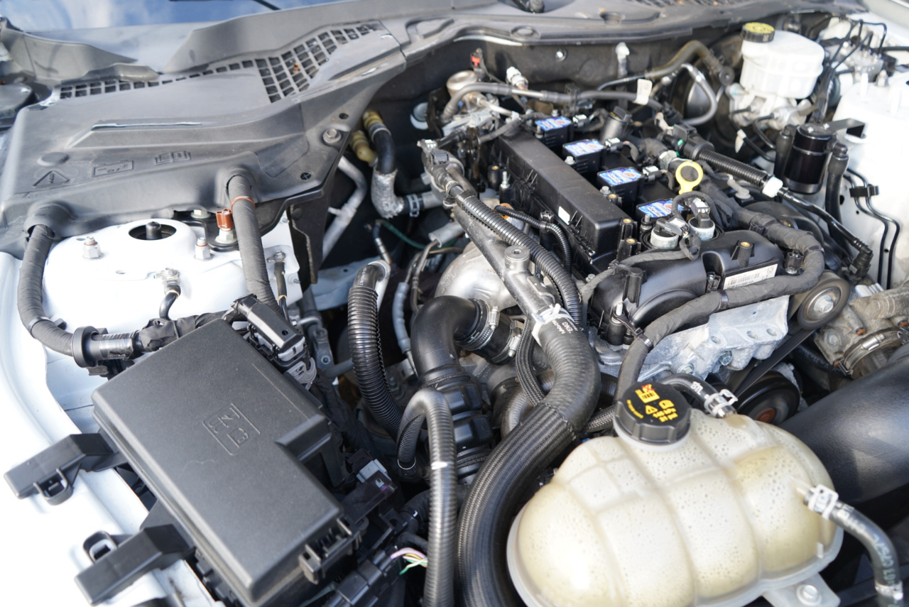 Ford Mustang EcoBoost Fastback 2021