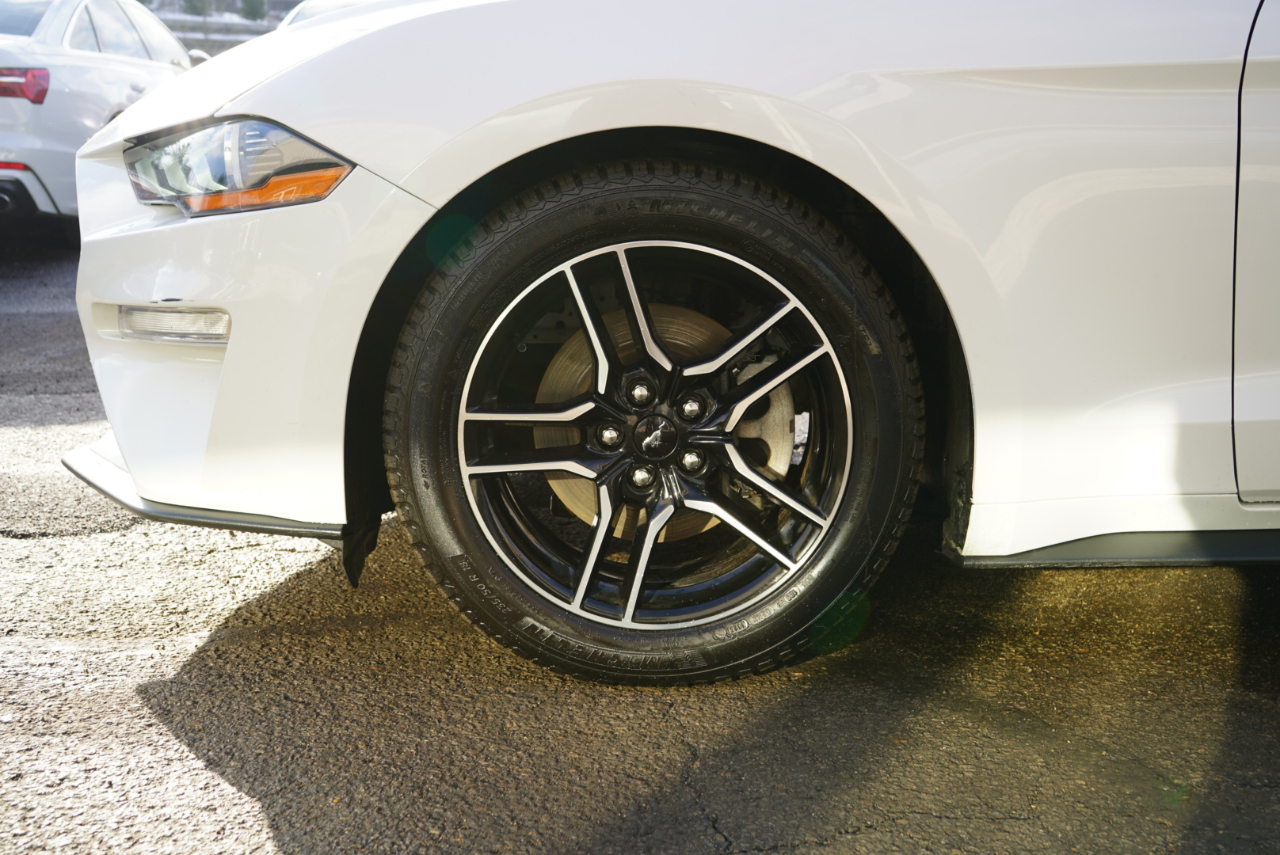 Ford Mustang EcoBoost Fastback 2021