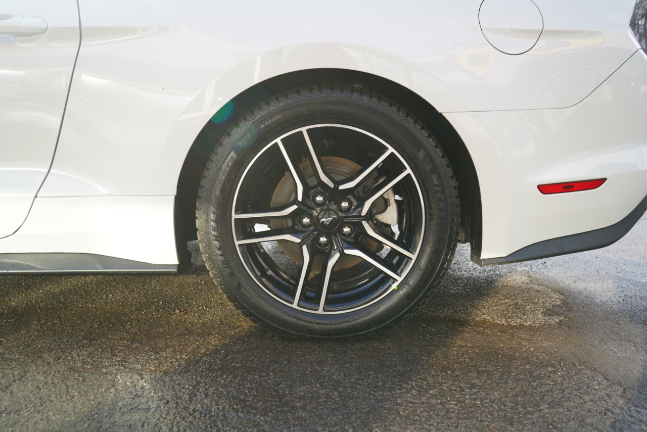 Ford Mustang EcoBoost Fastback 2021