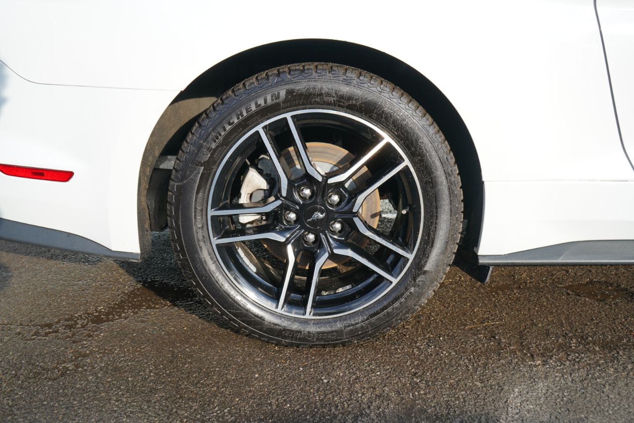 Ford Mustang EcoBoost Fastback 2021