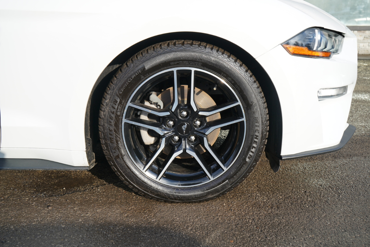 Ford Mustang EcoBoost Fastback 2021