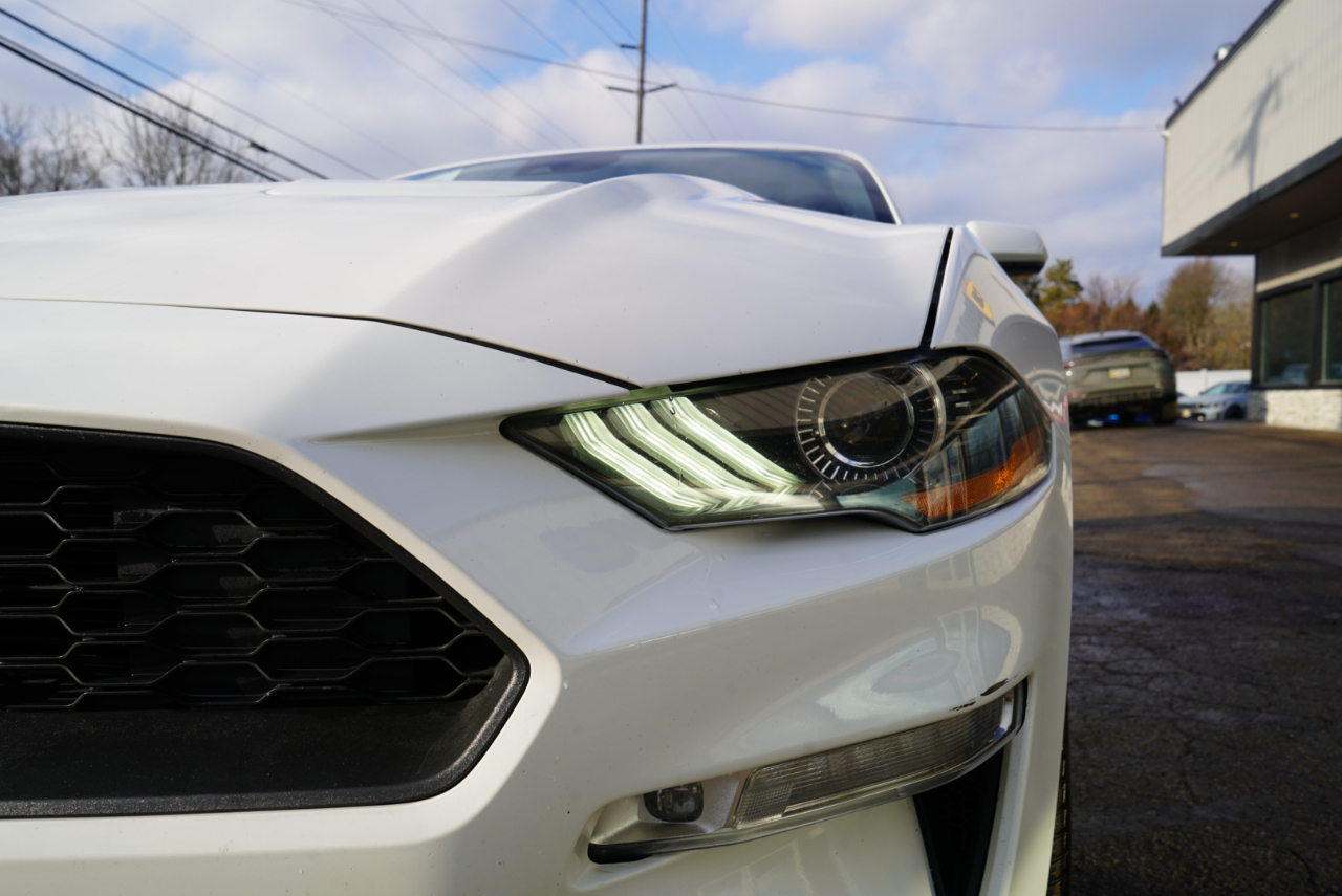 Ford Mustang EcoBoost Fastback 2021