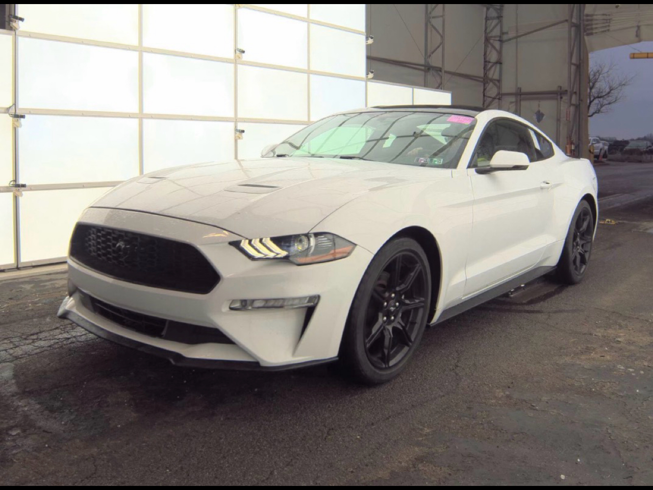 Ford Mustang EcoBoost Fastback 2018