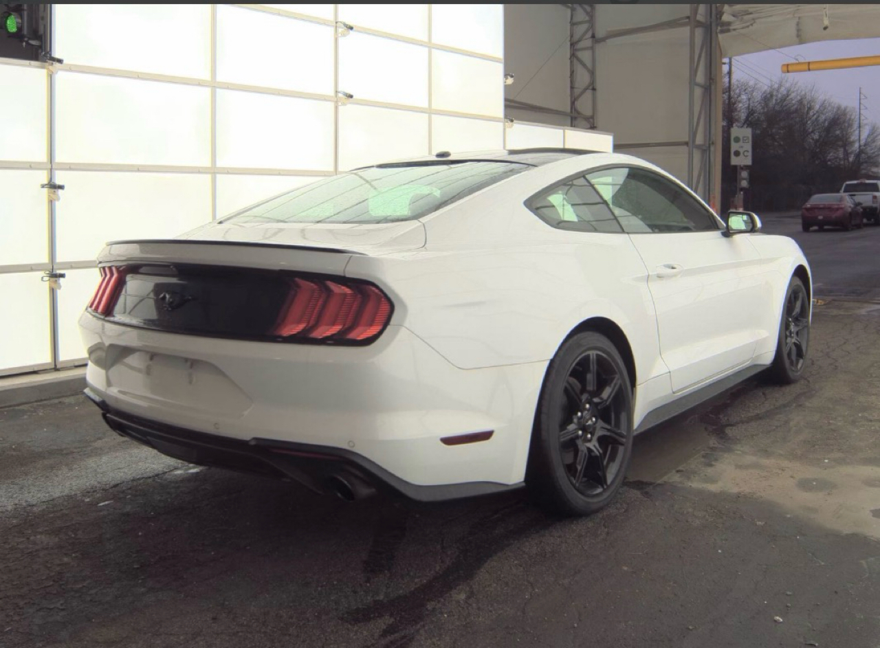 Ford Mustang EcoBoost Fastback 2018