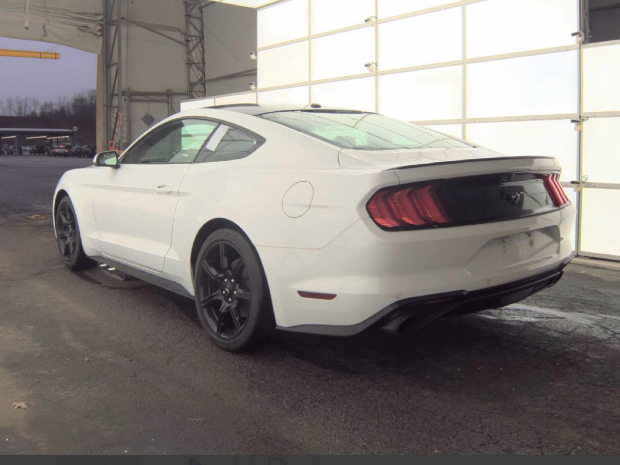 Ford Mustang EcoBoost Fastback 2018