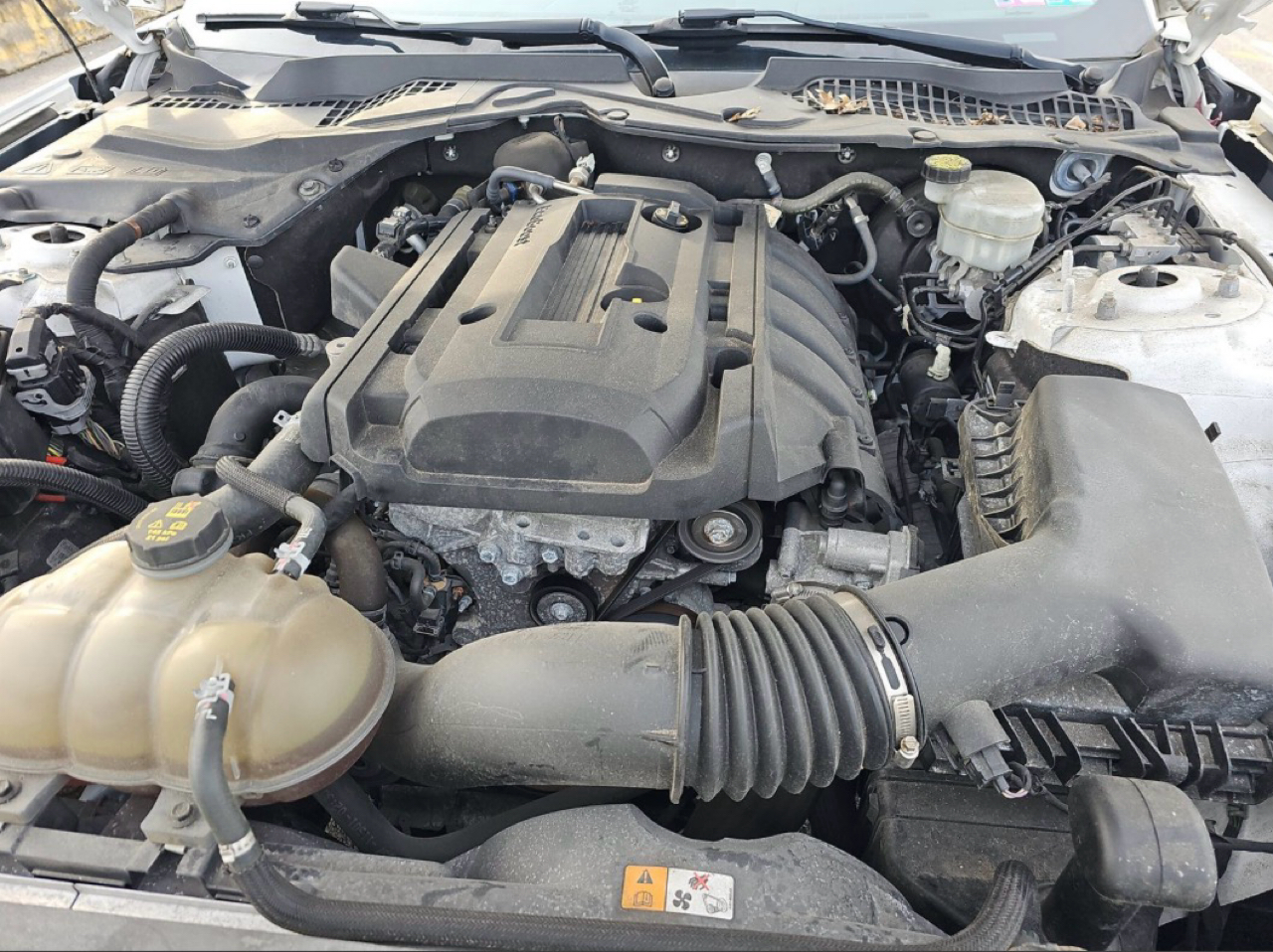 Ford Mustang EcoBoost Fastback 2018