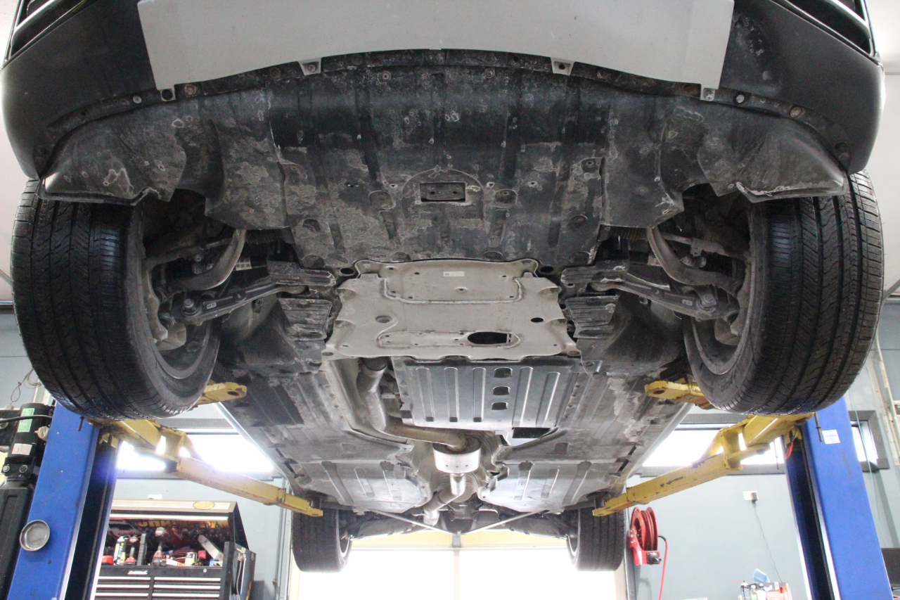 BMW X5 xDrive40i Sports Activity Vehicle 2023