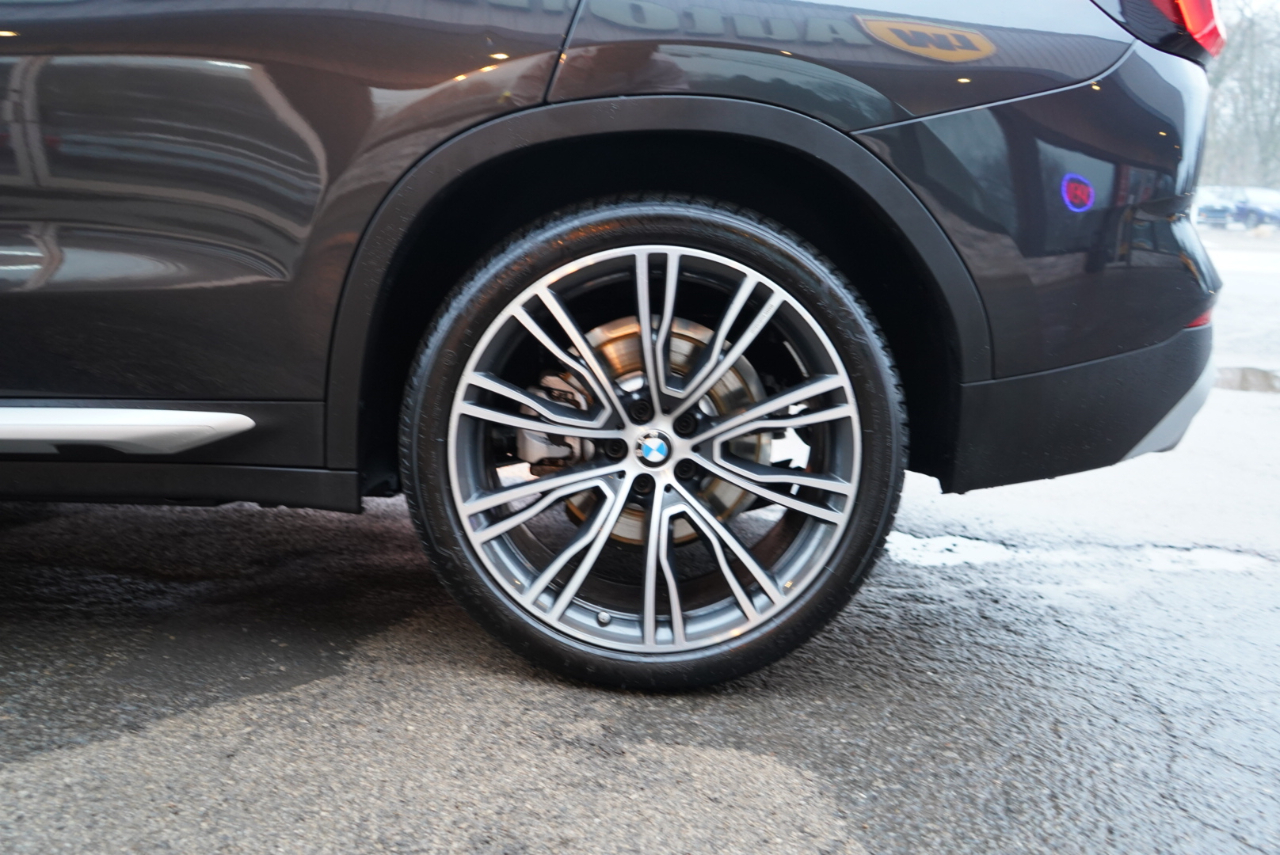 BMW X3 sDrive30i Sports Activity Vehicle 2023