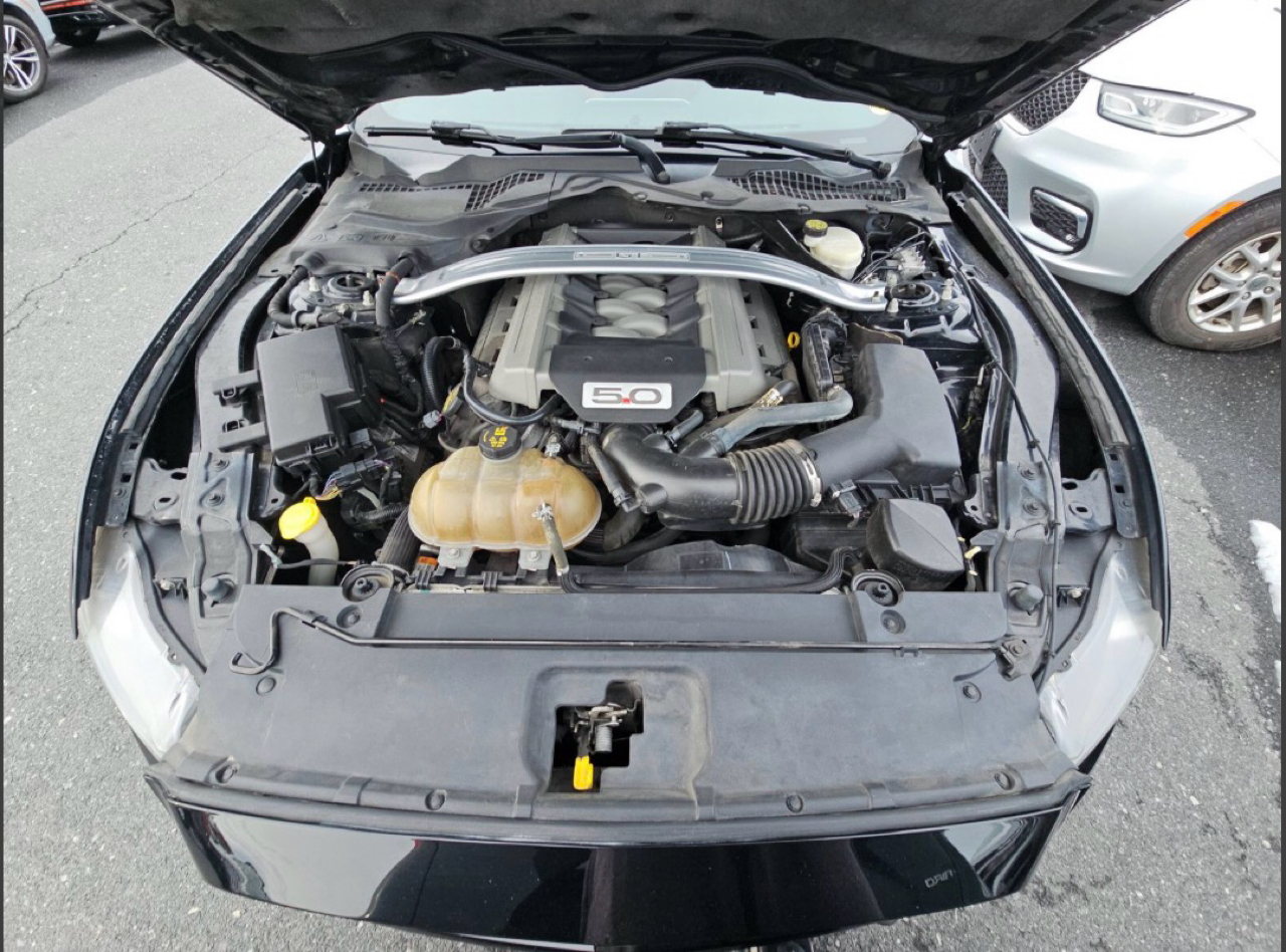 Ford Mustang 2dr Conv GT Premium 2015