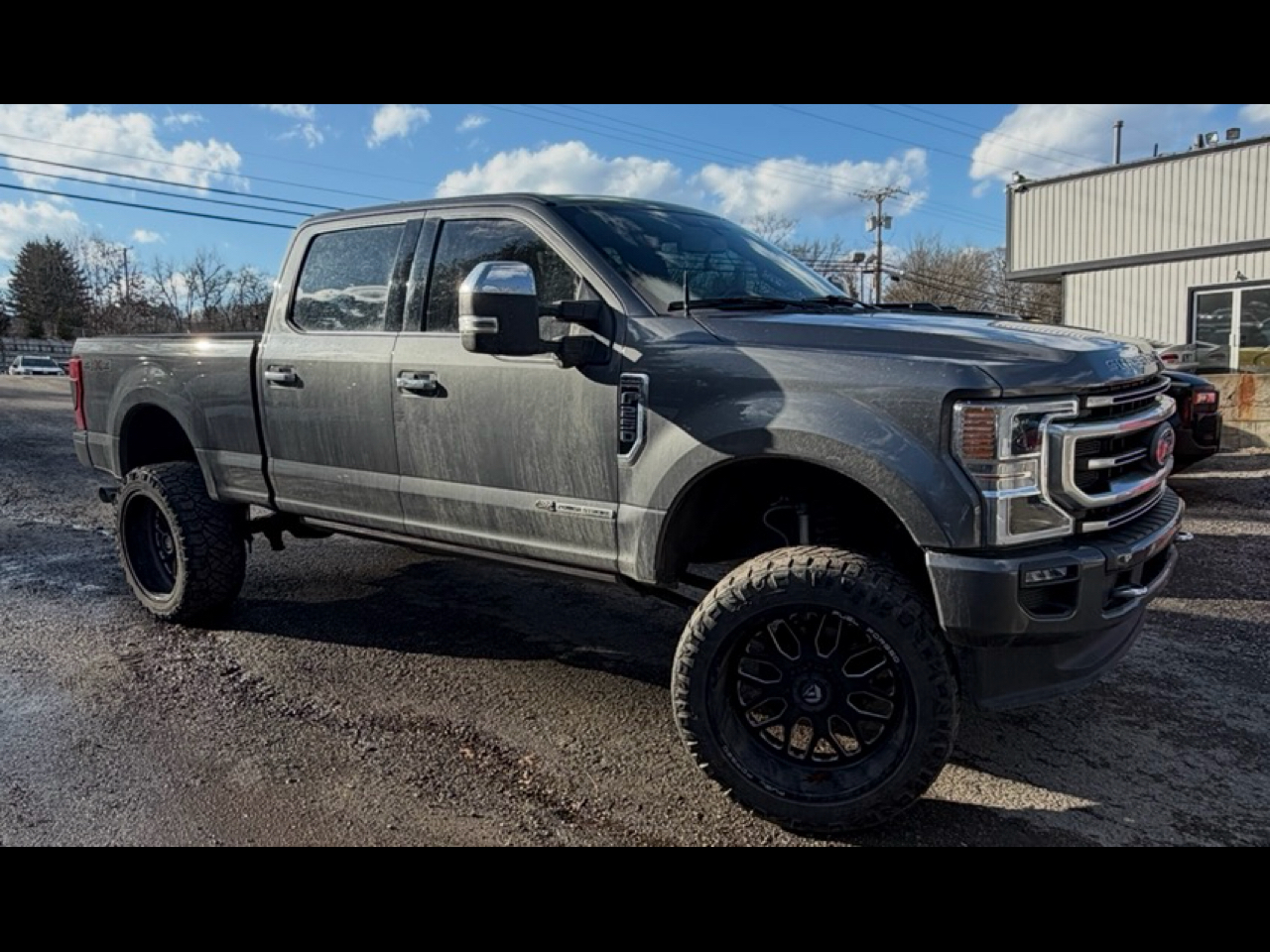 Ford Super Duty F-250 SRW Platinum 4WD Crew Cab 8' Box 2022