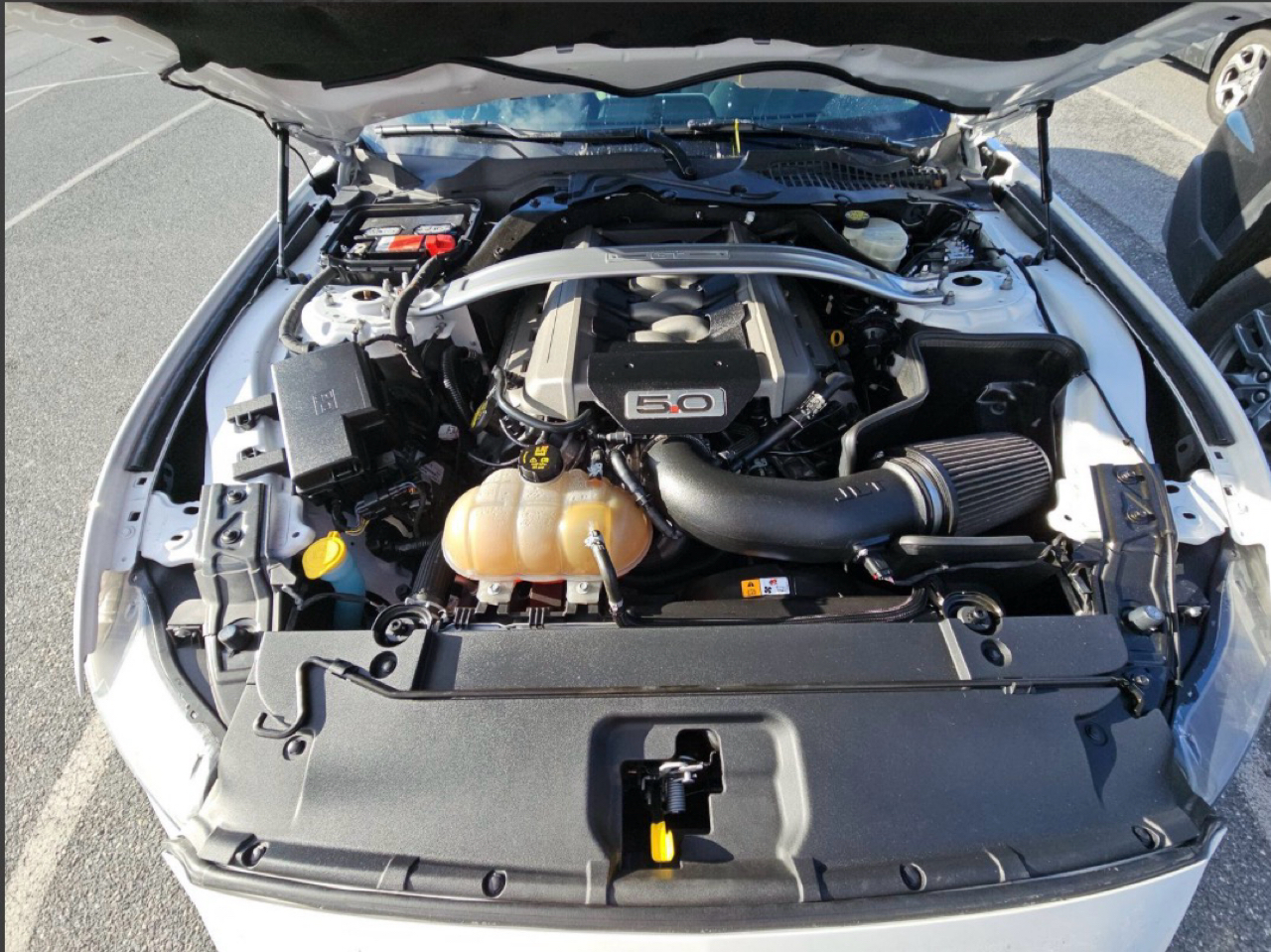 Ford Mustang 2dr Conv GT Premium 2015