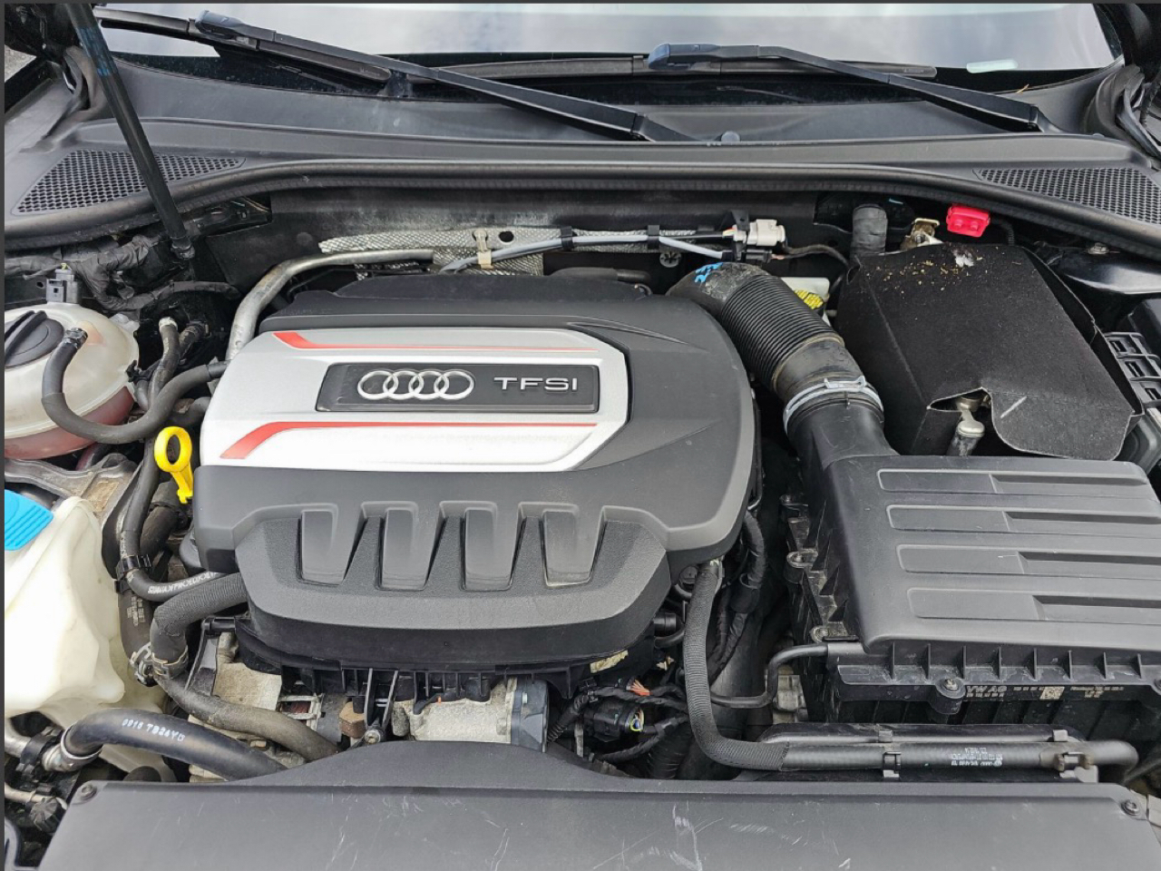 Audi S3 4dr Sdn quattro Premium Plus 2016