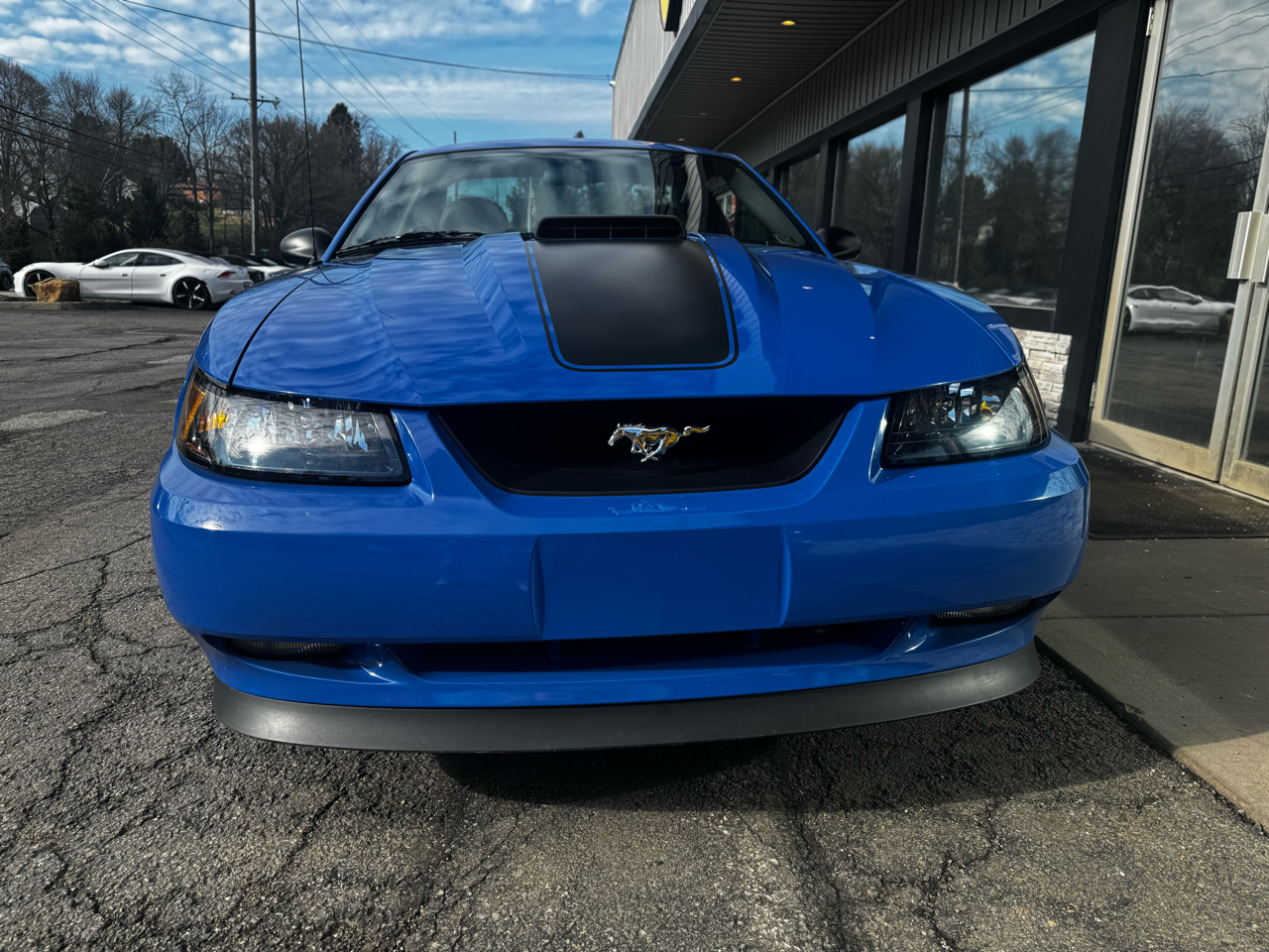 Ford Mustang 2dr Cpe Premium Mach 1 2003