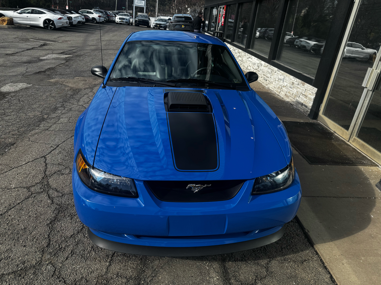 Ford Mustang 2dr Cpe Premium Mach 1 2003