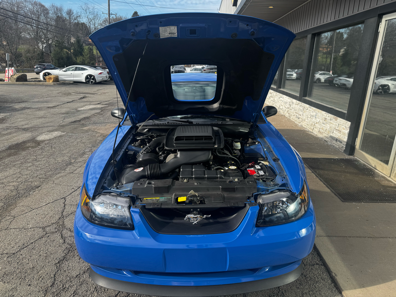 Ford Mustang 2dr Cpe Premium Mach 1 2003