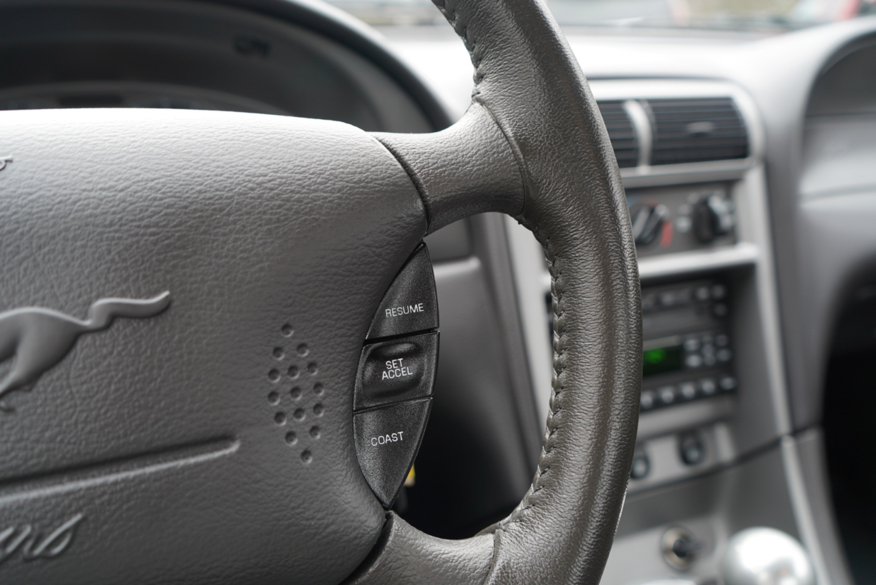 Ford Mustang Mach 1 2003