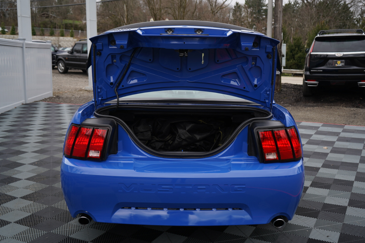 Ford Mustang Mach 1 2003