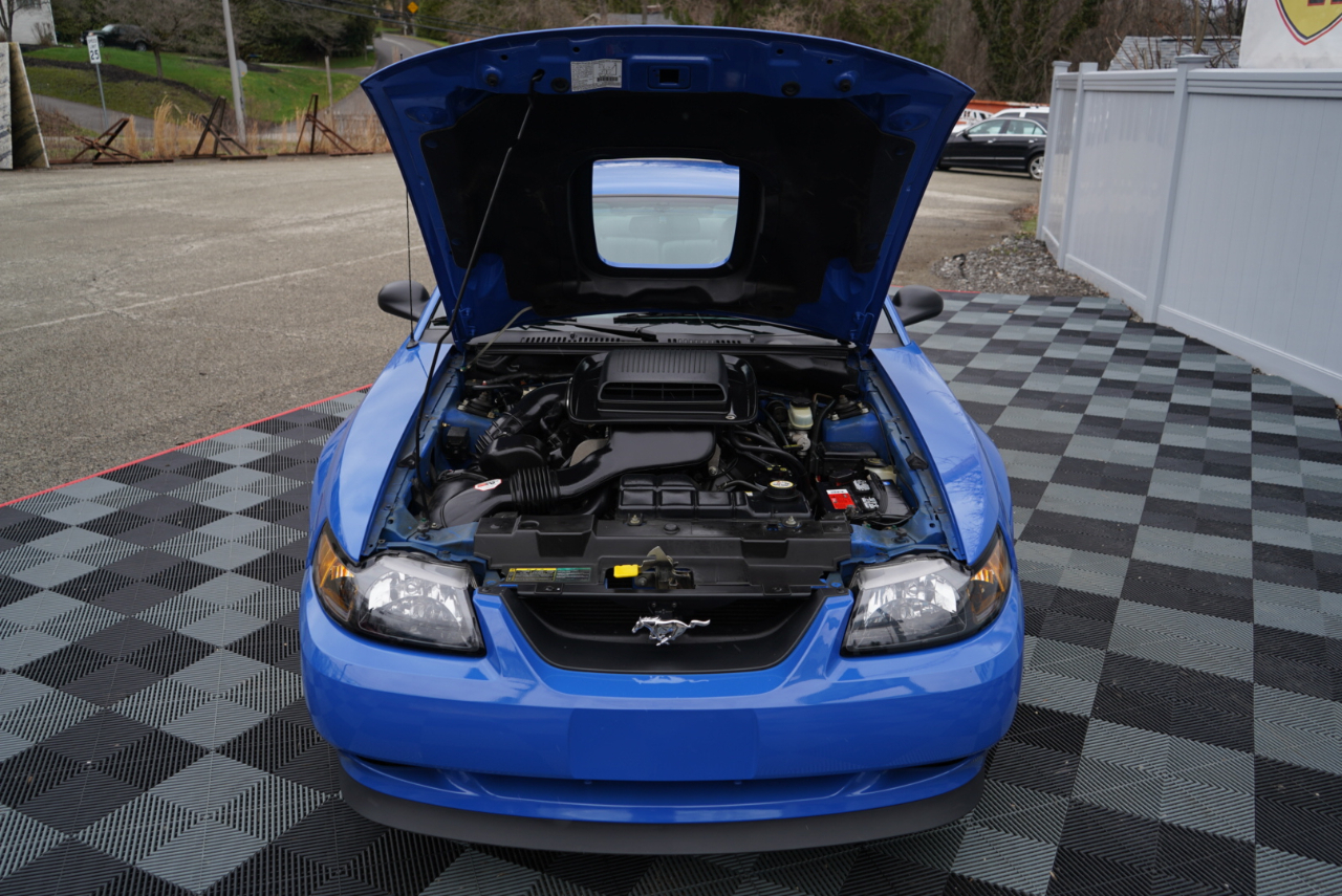 Ford Mustang Mach 1 2003