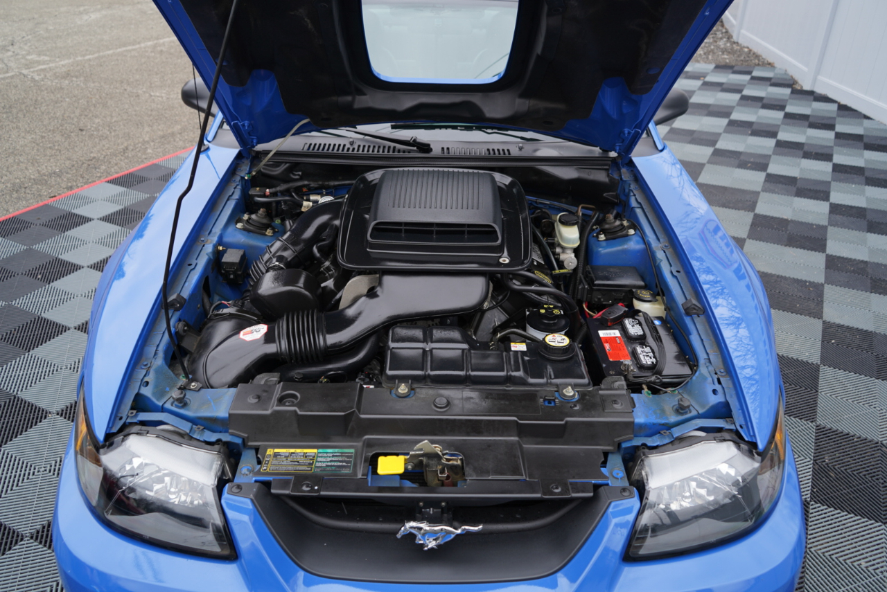 Ford Mustang Mach 1 2003