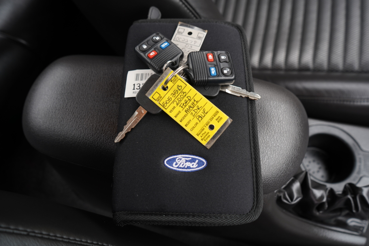 Ford Mustang Mach 1 2003