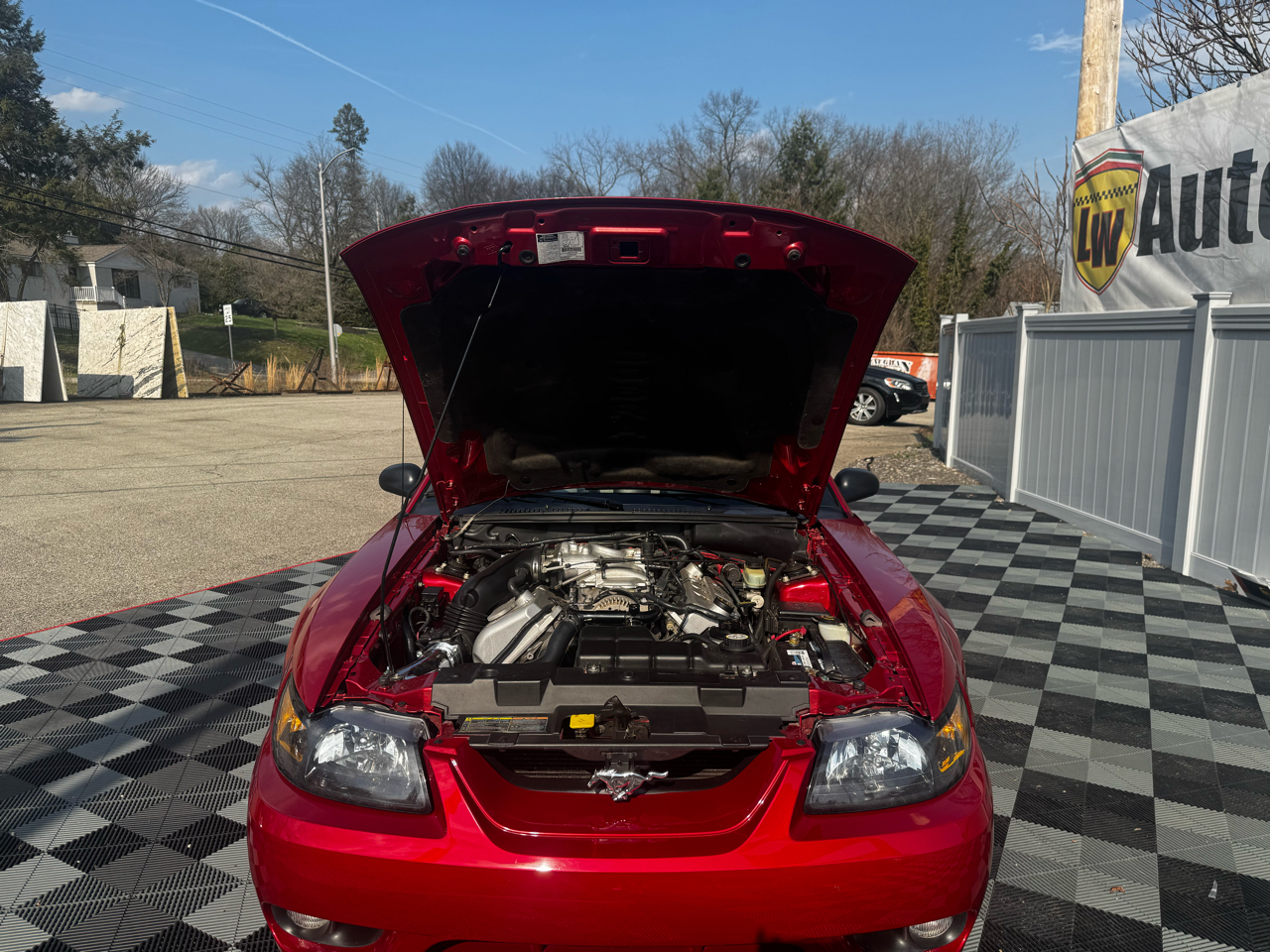 Ford Mustang 2dr Convertible SVT Cobra 2001