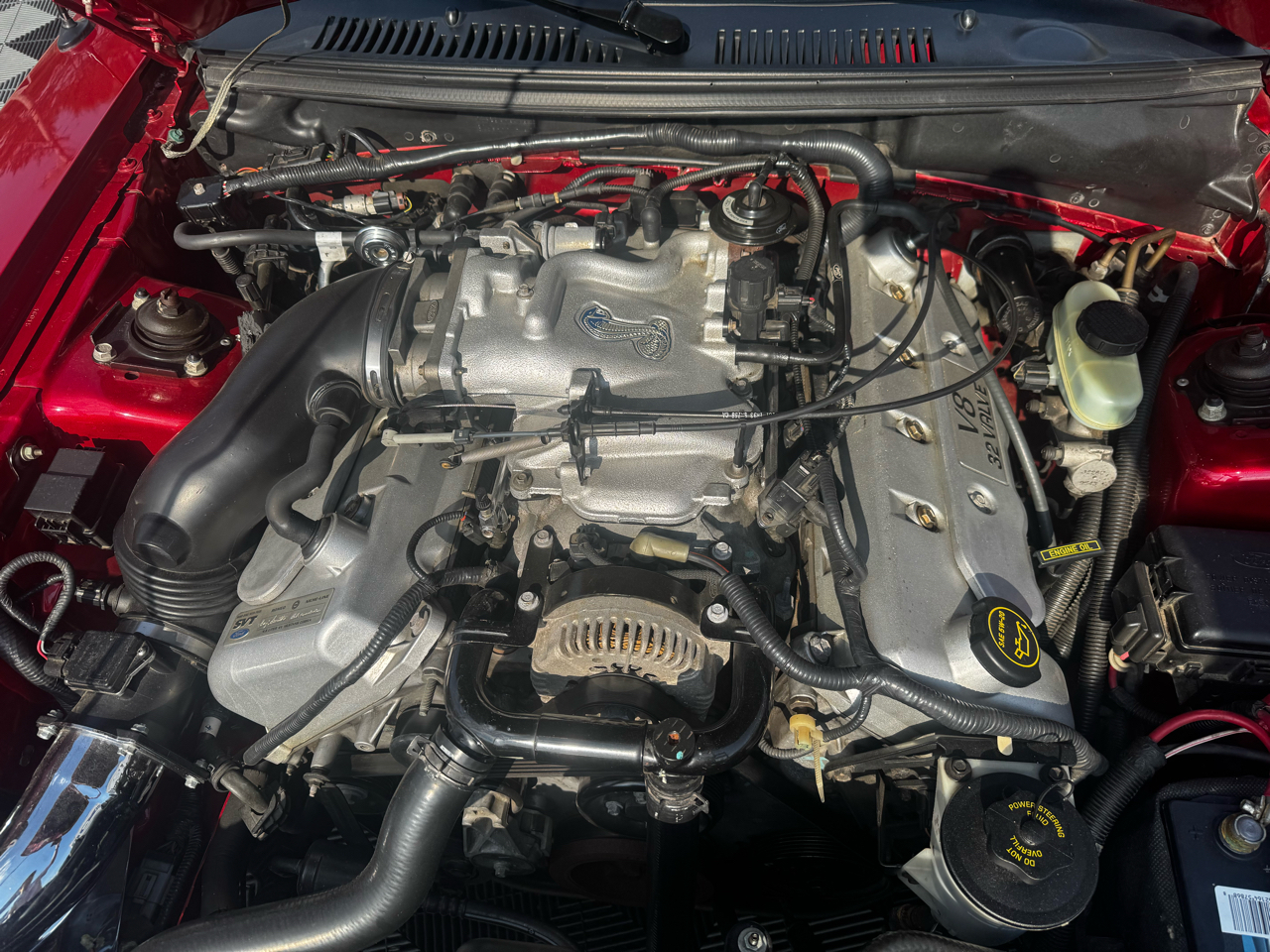 Ford Mustang 2dr Convertible SVT Cobra 2001