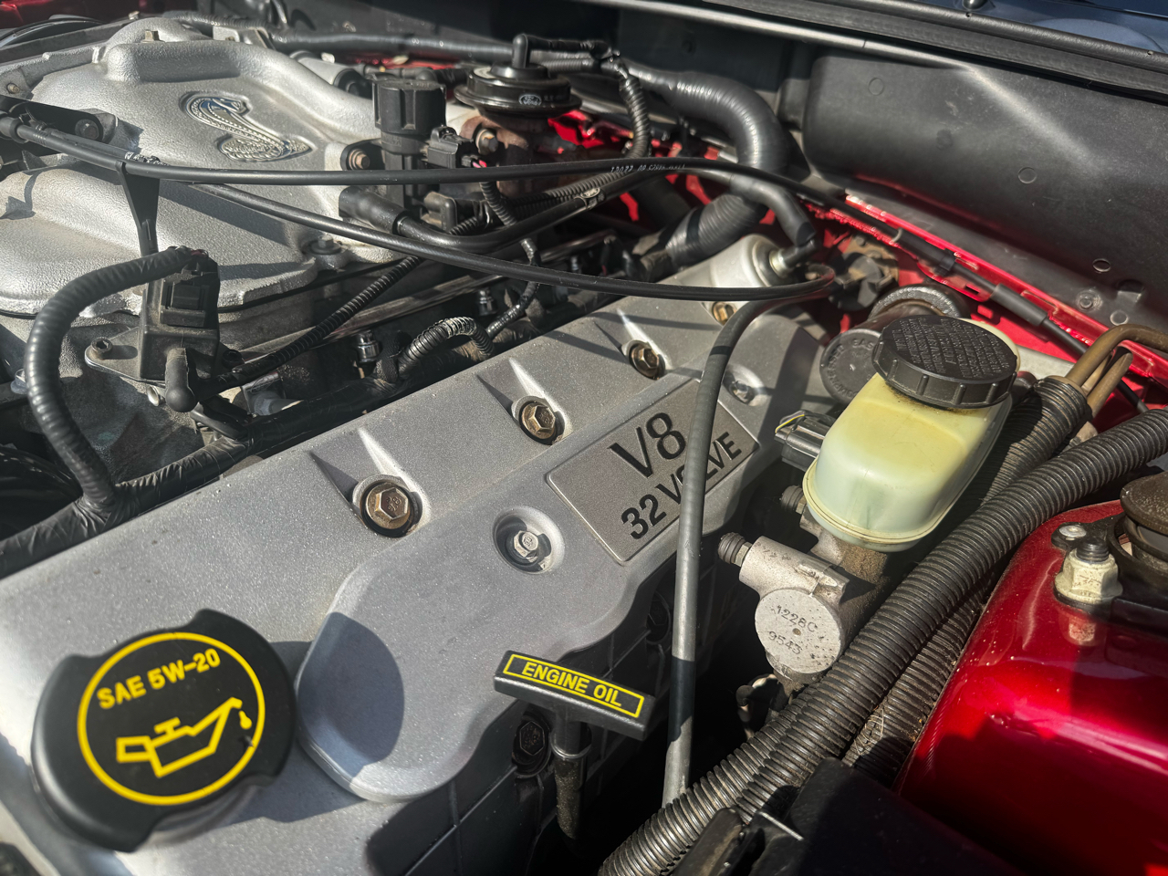 Ford Mustang 2dr Convertible SVT Cobra 2001