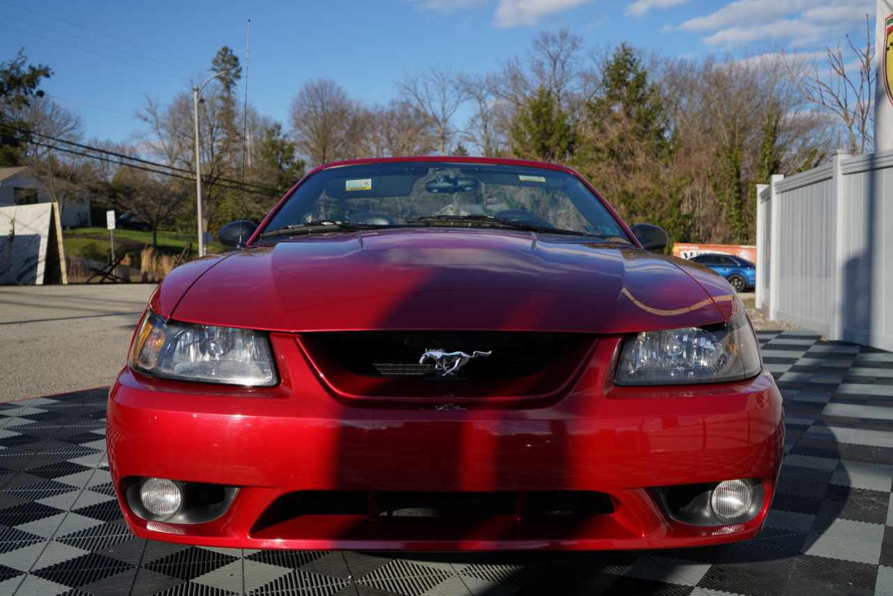Ford Mustang 2dr Convertible SVT Cobra 2001
