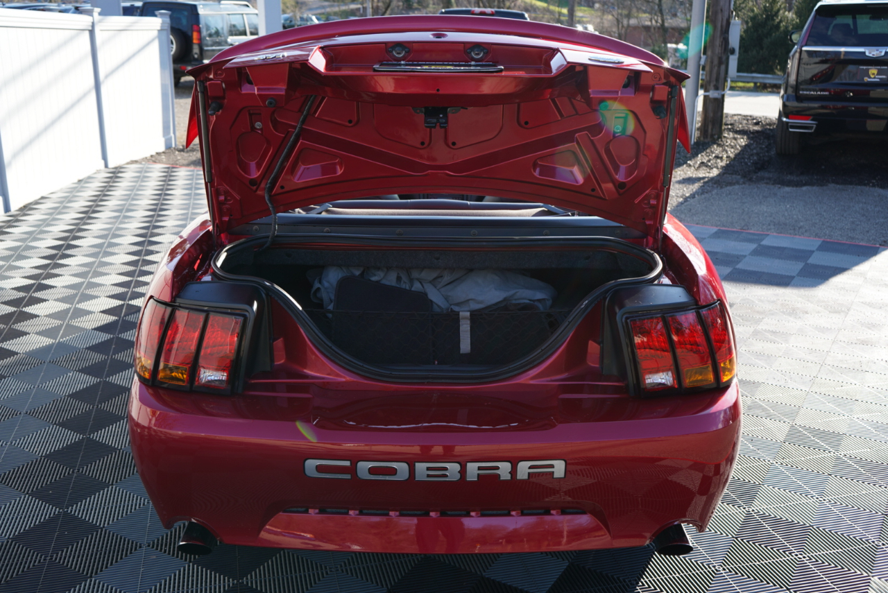 Ford Mustang 2dr Convertible SVT Cobra 2001