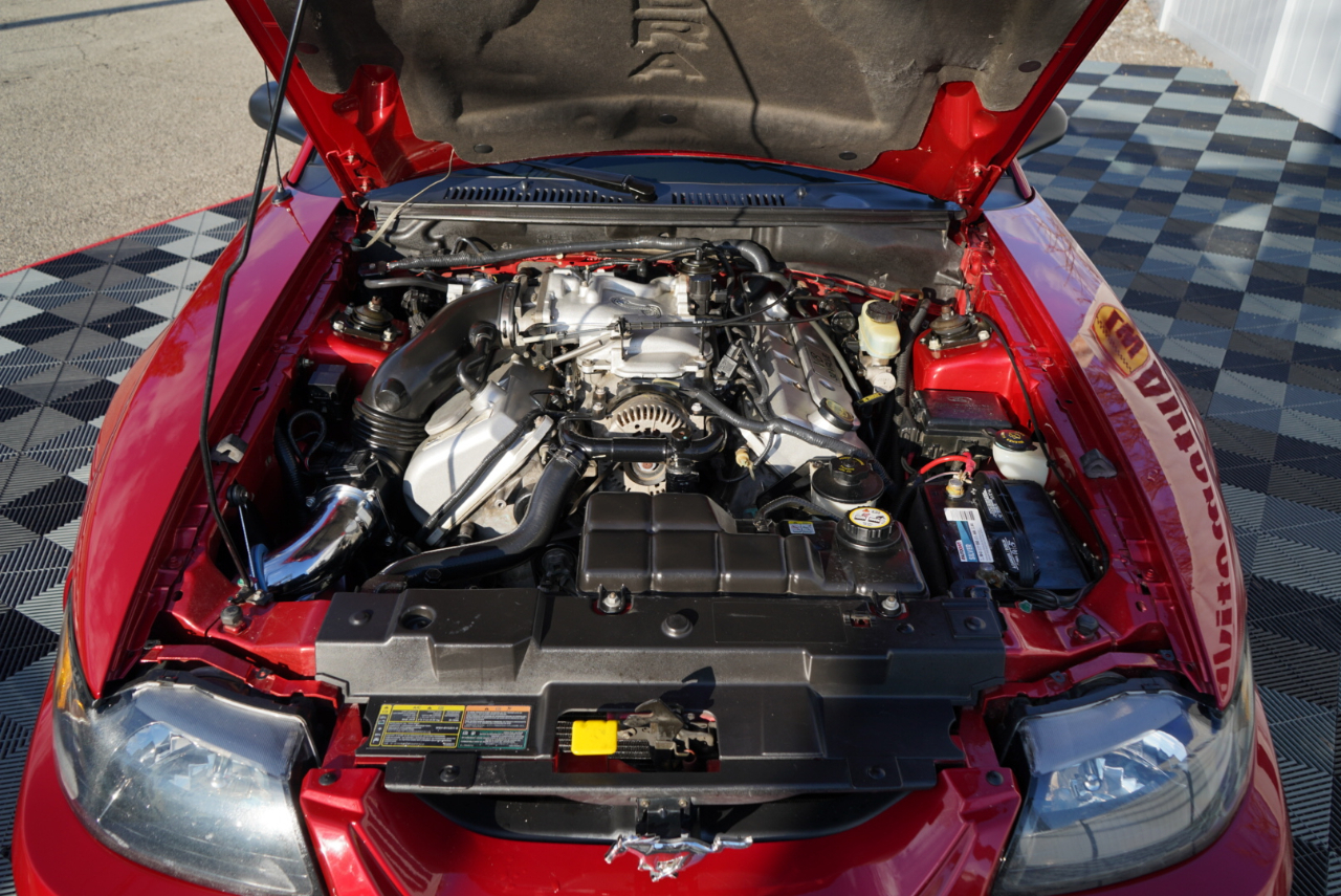 Ford Mustang 2dr Convertible SVT Cobra 2001