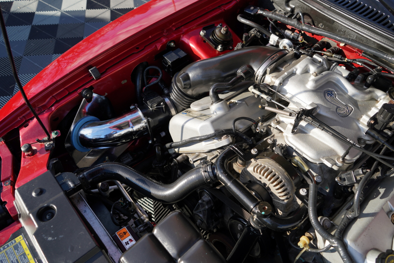 Ford Mustang 2dr Convertible SVT Cobra 2001