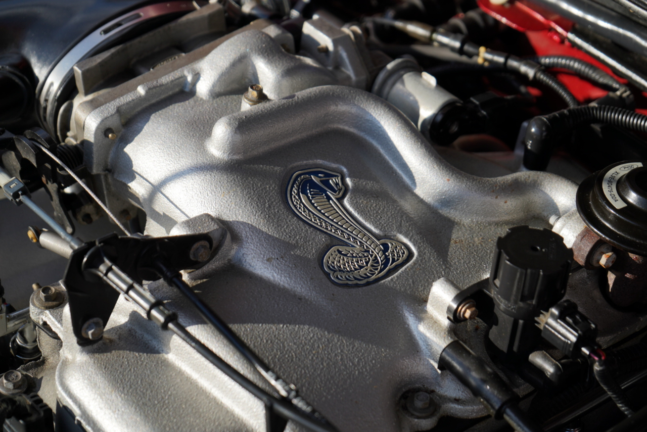 Ford Mustang 2dr Convertible SVT Cobra 2001