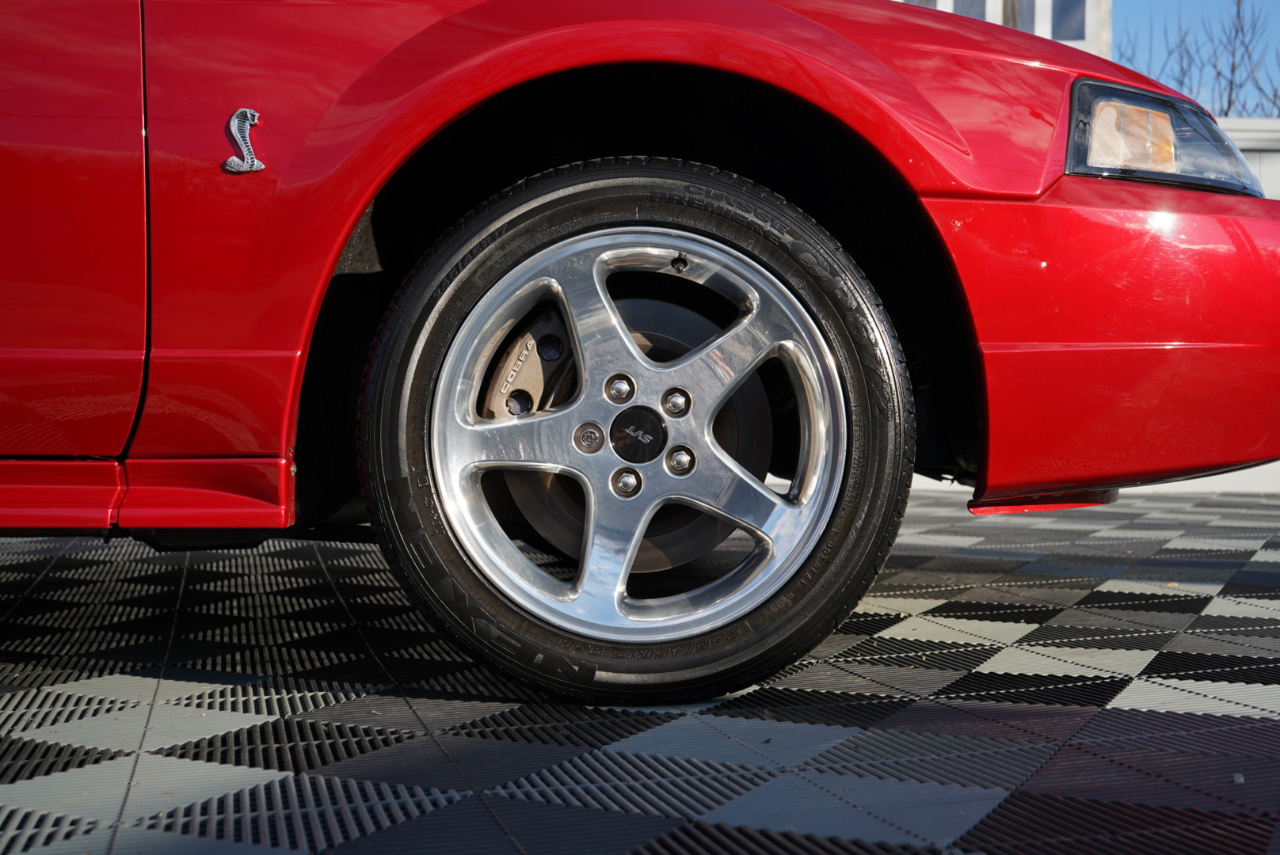 Ford Mustang 2dr Convertible SVT Cobra 2001