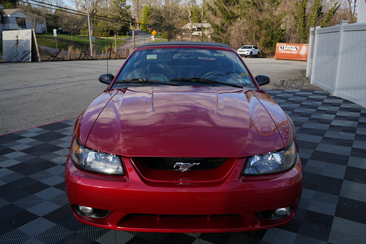 Ford Mustang 2dr Convertible SVT Cobra 2001