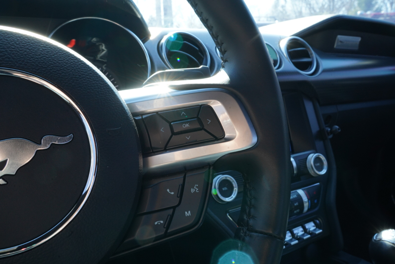 Ford Mustang GT Fastback 2021