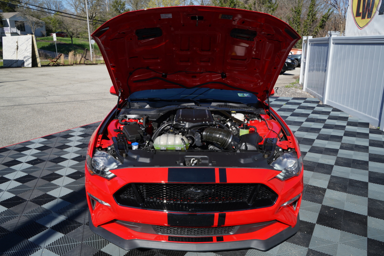 Ford Mustang GT Fastback 2021