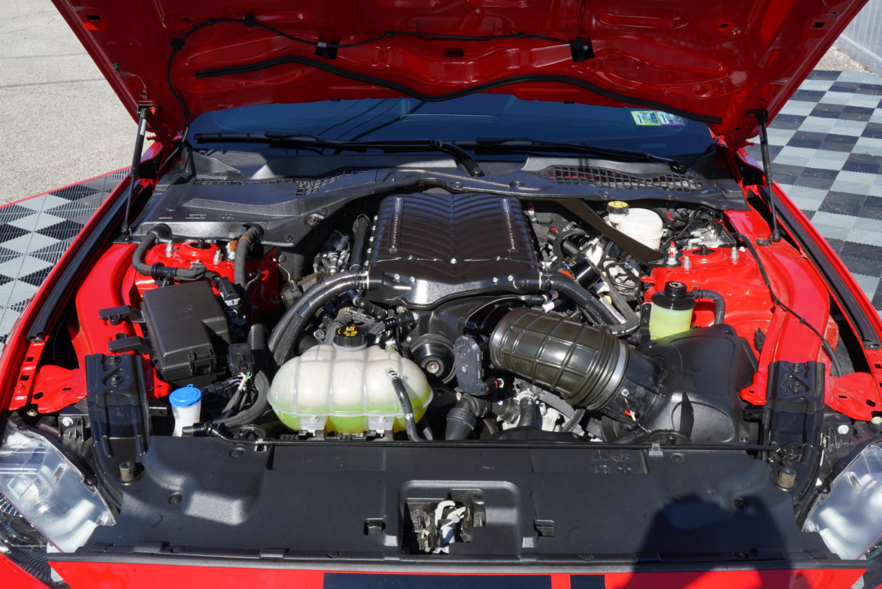 Ford Mustang GT Fastback 2021