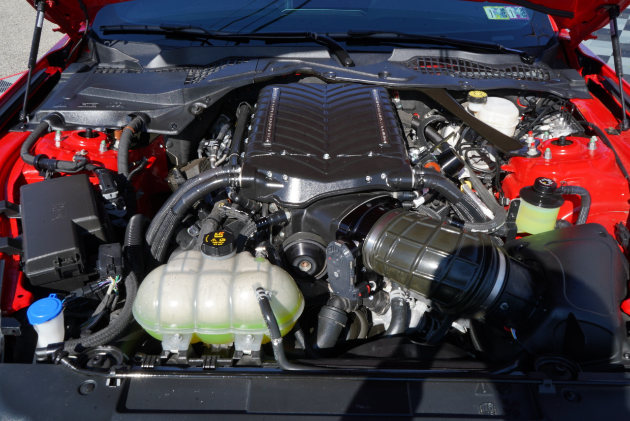 Ford Mustang GT Fastback 2021