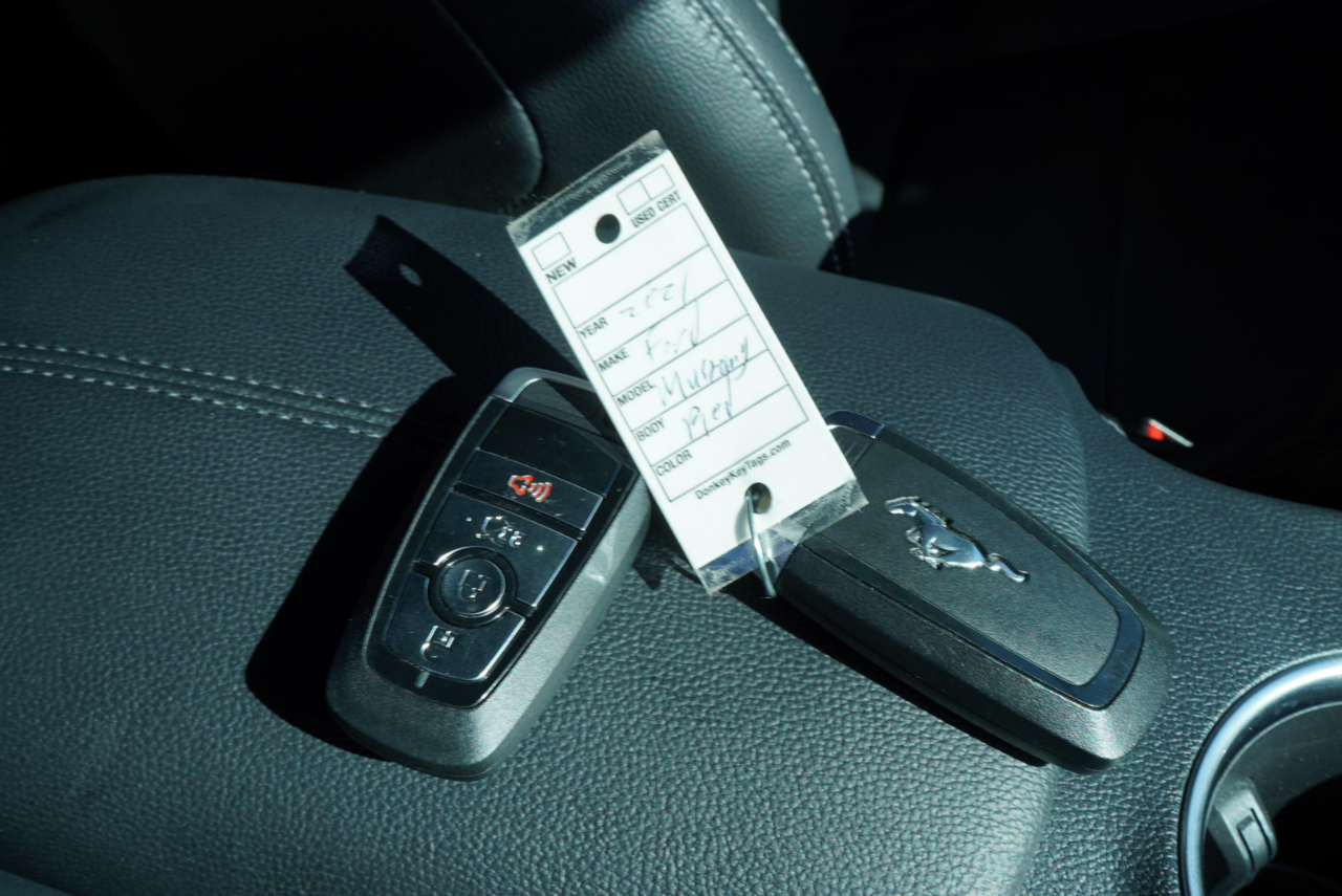 Ford Mustang GT Fastback 2021