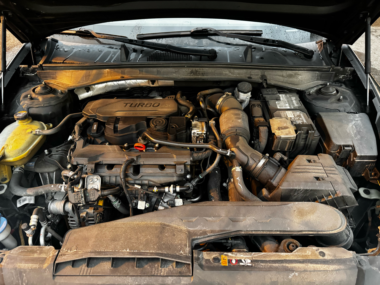 Hyundai Sonata SEL Plus 1.6T 2021