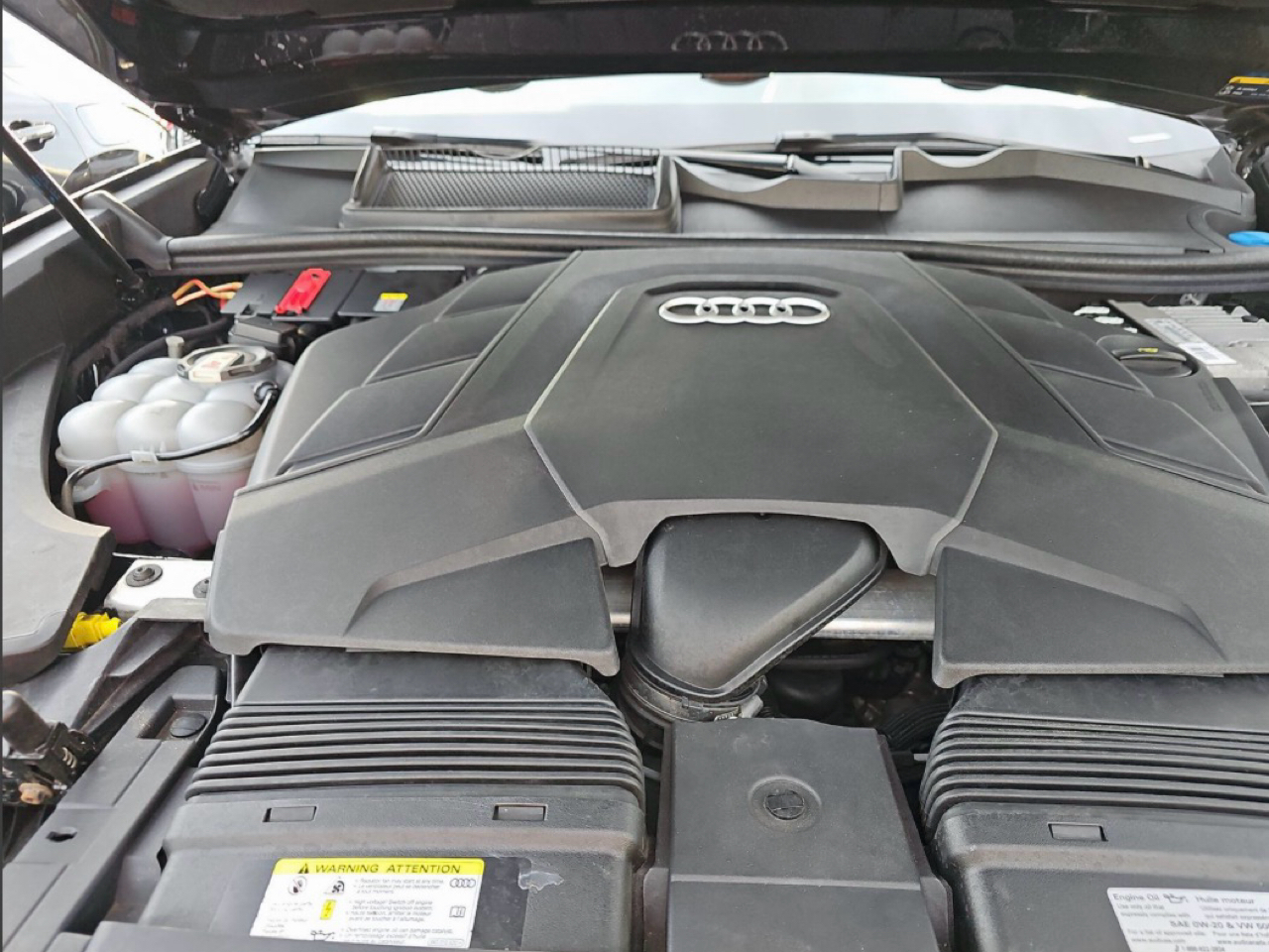Audi Q8 Premium Plus 55 TFSI quattro 2021