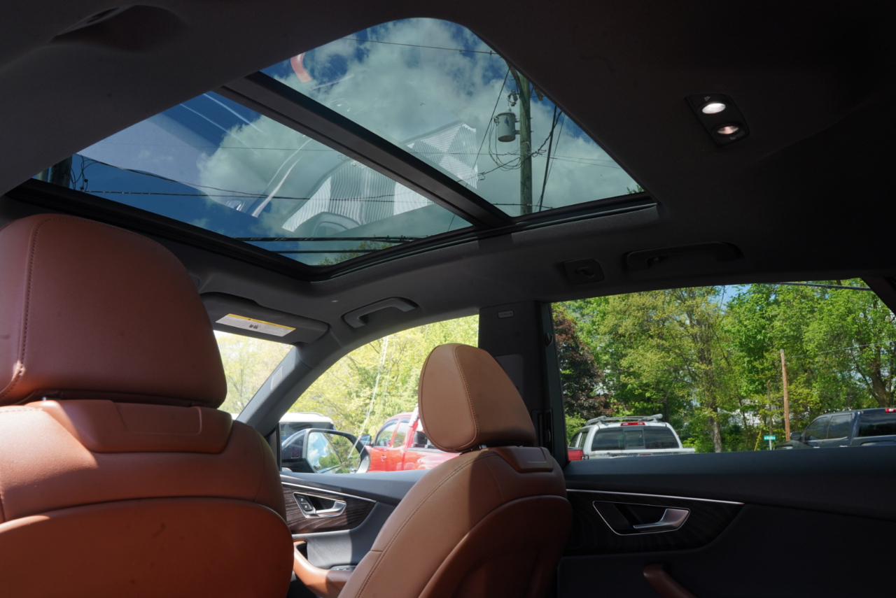 Audi Q8 Premium Plus 55 TFSI quattro 2021
