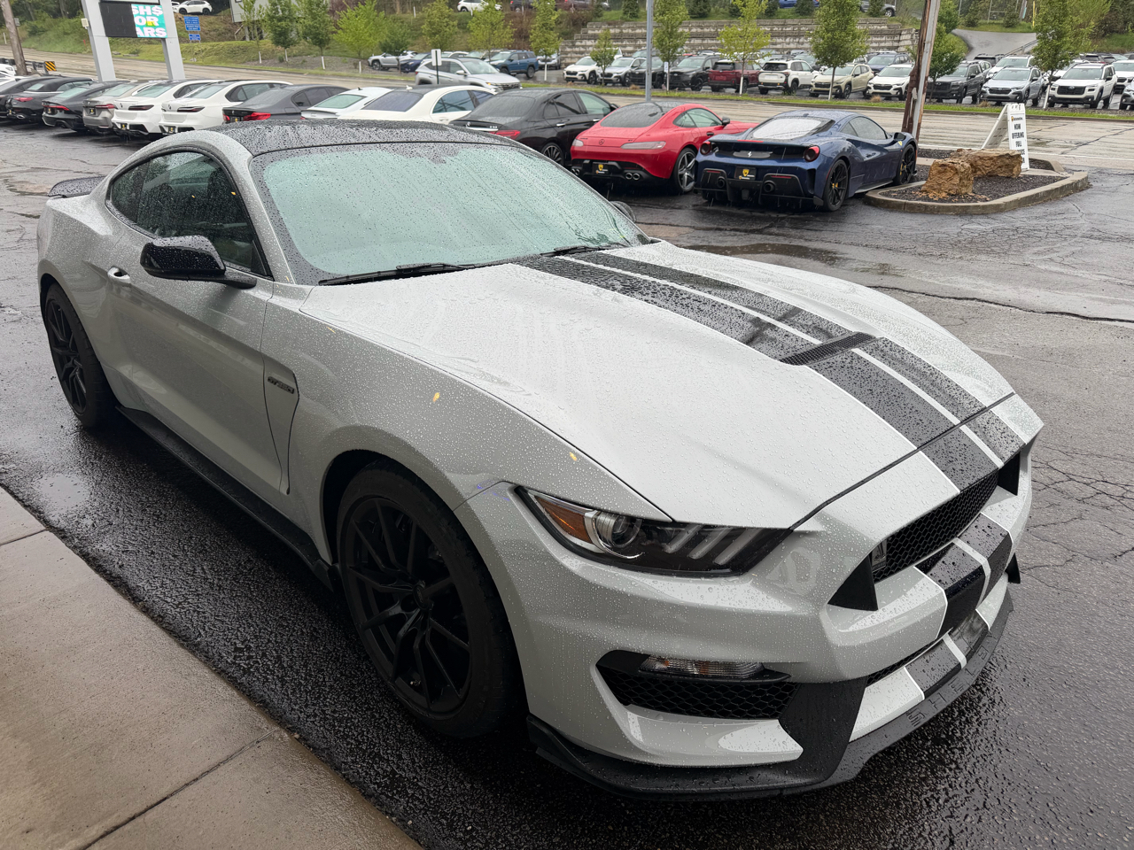 Ford Mustang Shelby GT350 Fastback 2017