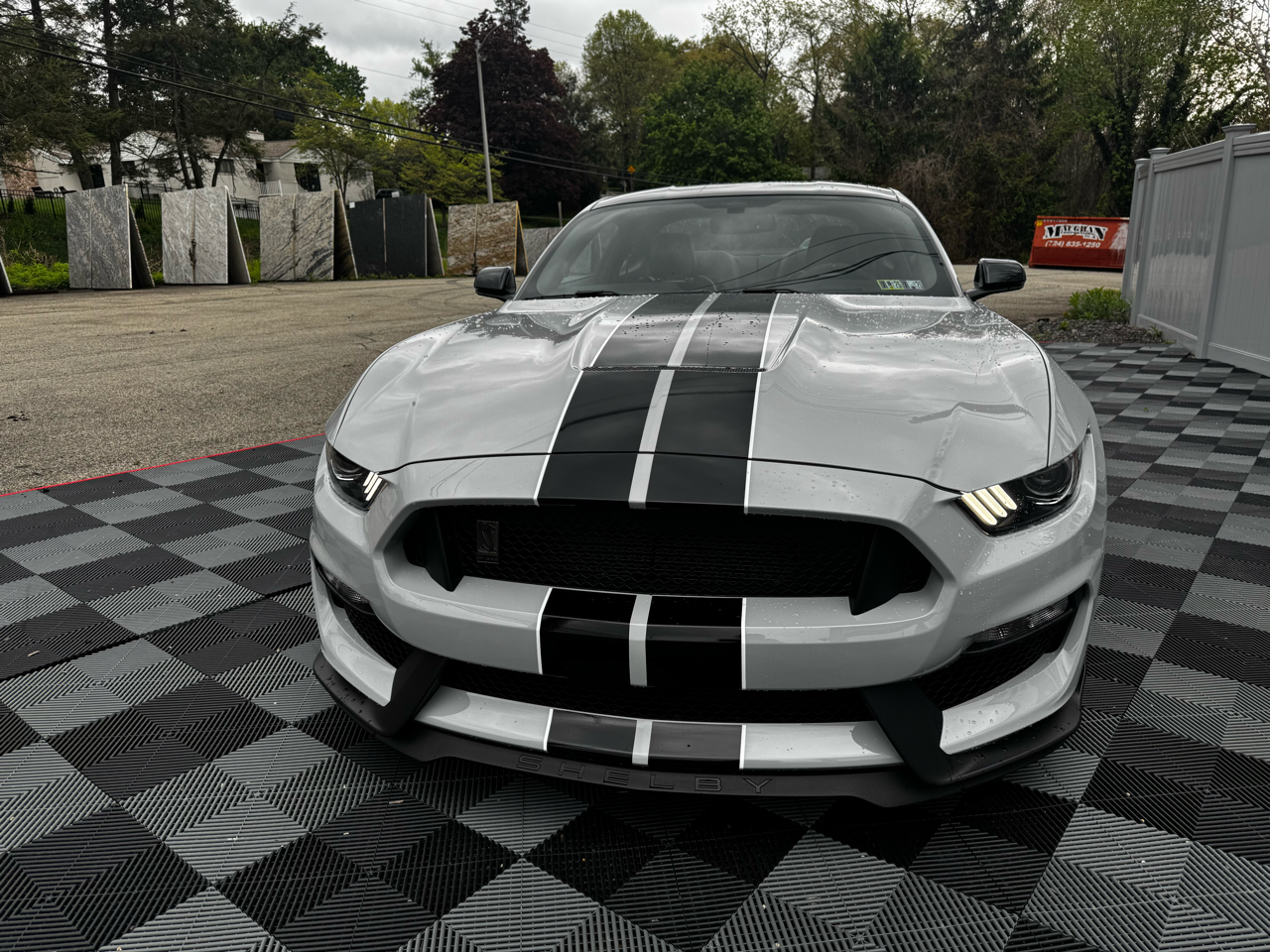 Ford Mustang Shelby GT350 Fastback 2017