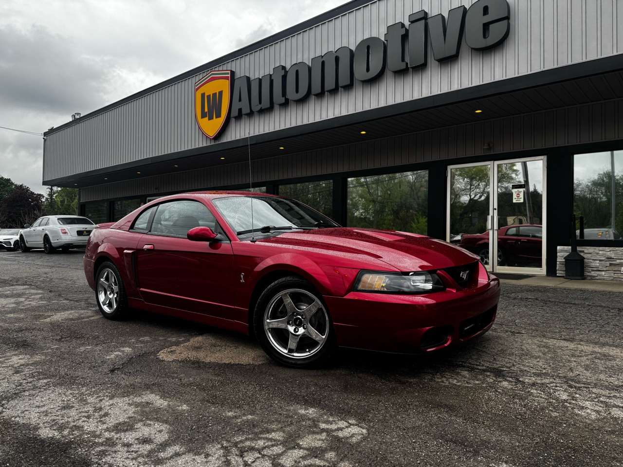 Ford Mustang 2dr Cpe SVT Cobra 2004
