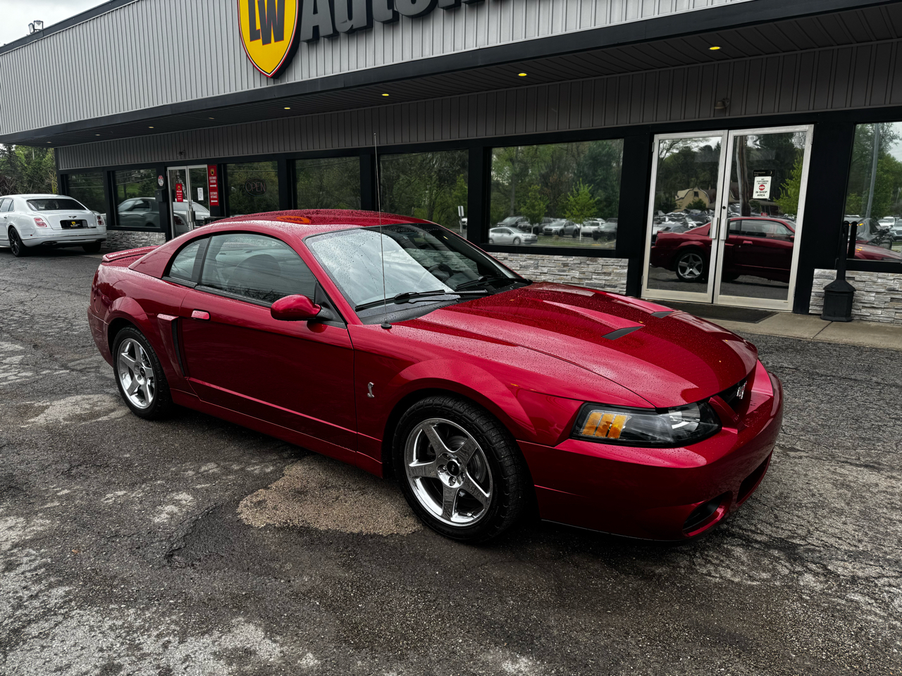 Ford Mustang 2dr Cpe SVT Cobra 2004