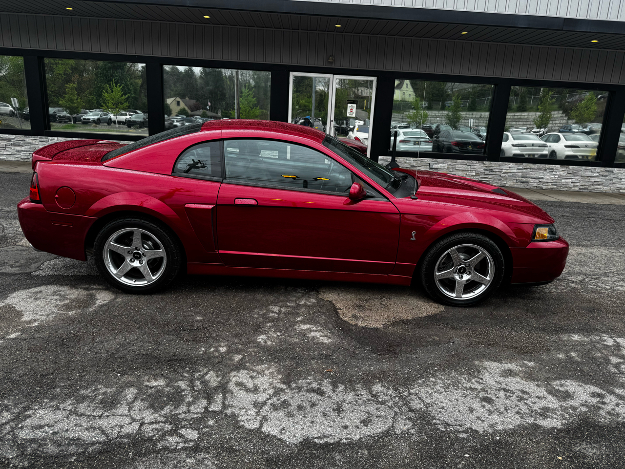 Ford Mustang 2dr Cpe SVT Cobra 2004